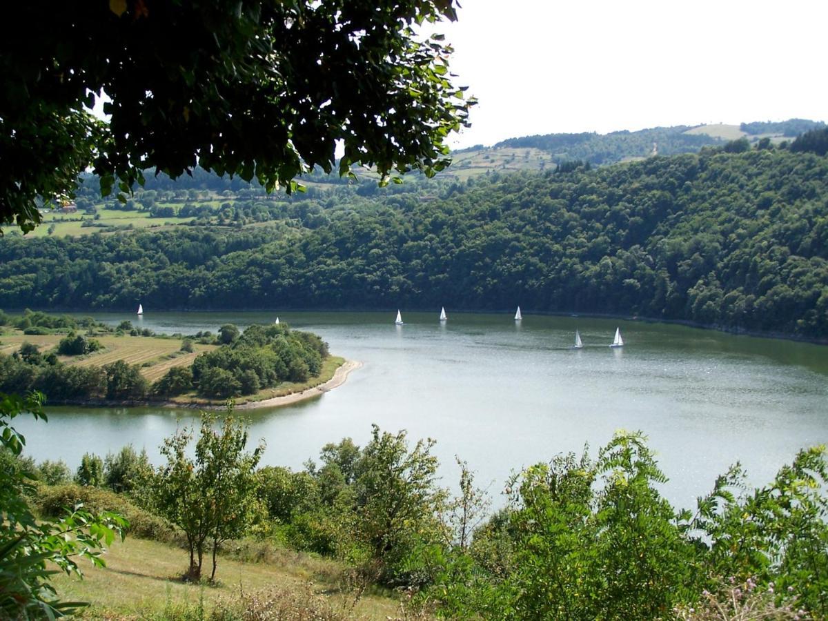 O Fil De L'Eau - Gite En Bord De Lac Saint-Jean-Saint-Maurice-sur-Loire ภายนอก รูปภาพ