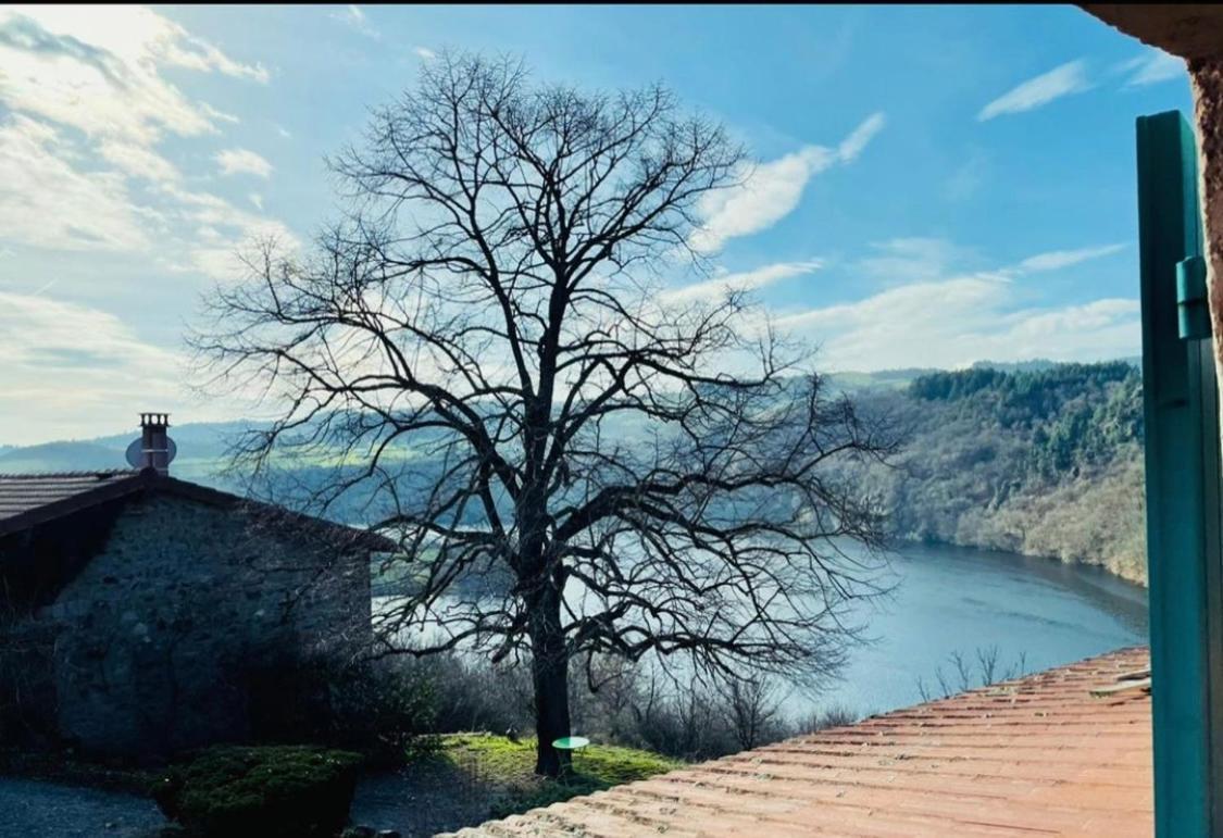 O Fil De L'Eau - Gite En Bord De Lac Saint-Jean-Saint-Maurice-sur-Loire ภายนอก รูปภาพ